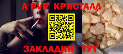 дмт Аргун