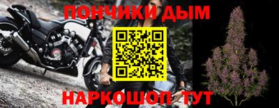 дмт Аргун