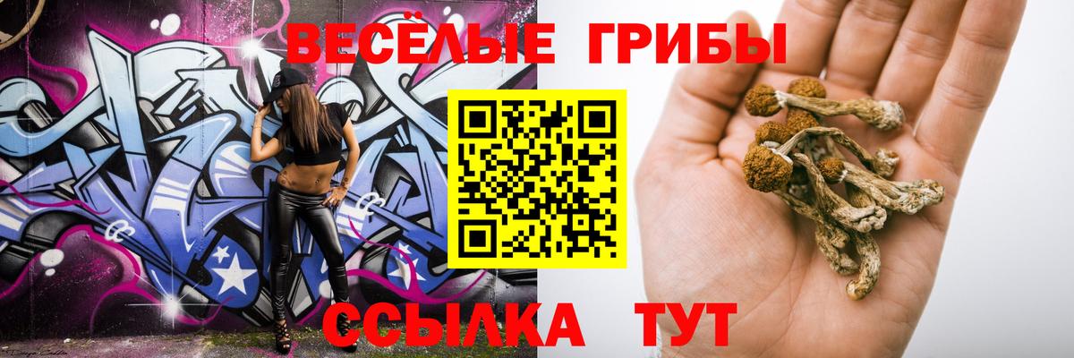 Псилоцибиновые грибы ЛСД Вязьма