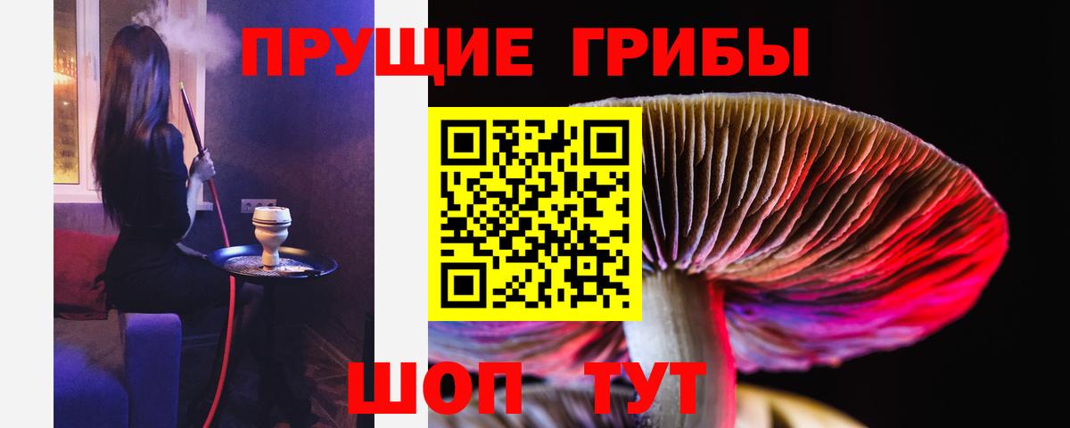 Псилоцибиновые грибы MAGIC MUSHROOMS  Вход с VPN  Вязьма 